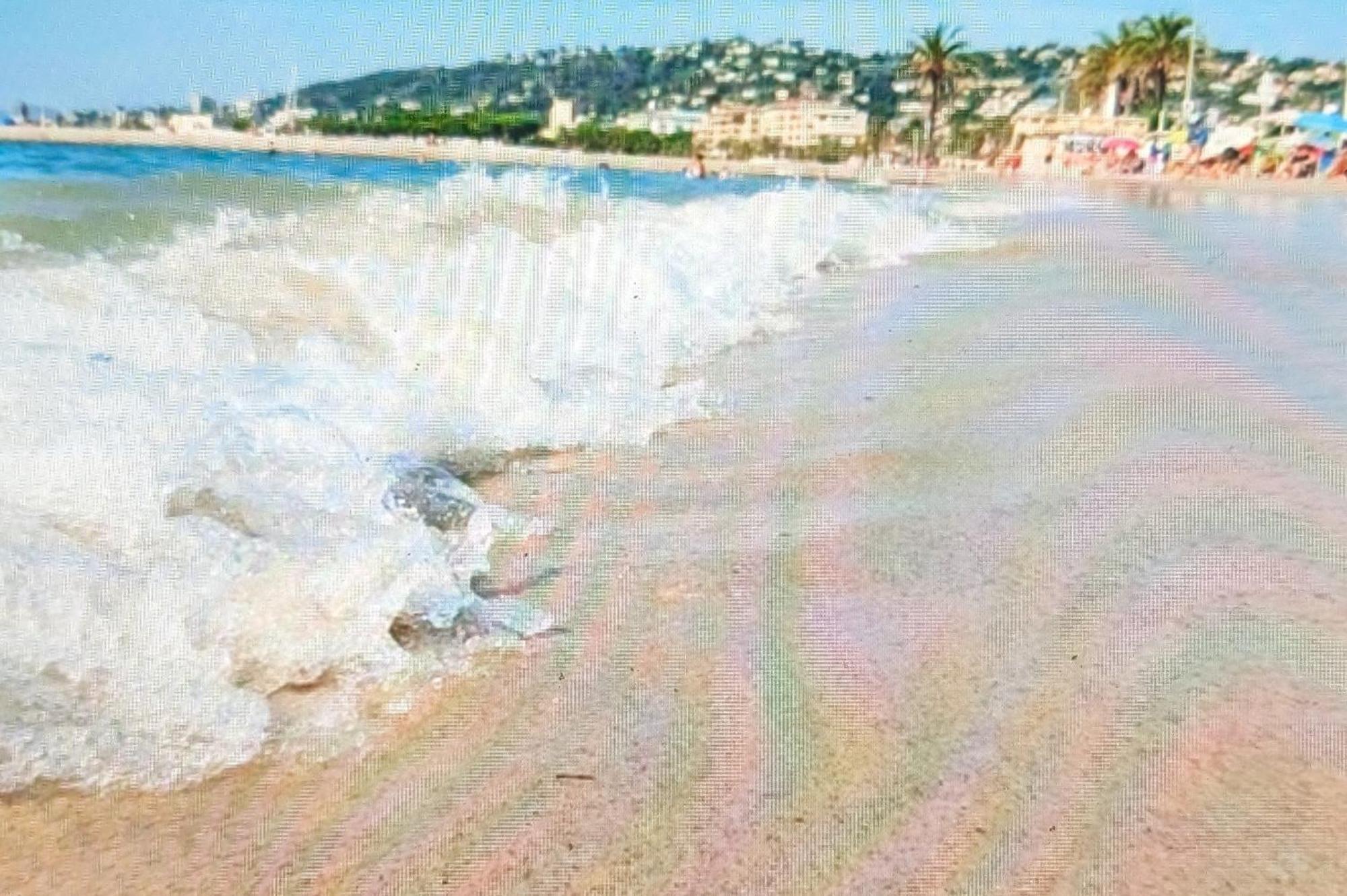Residence De Vacances Avec Piscine & Transat, A 2 Minutes Des Plages - Bat N2 Vallauris Exterior photo